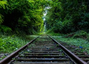 EVG: Social Media Update