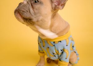 Netzwerk Junge Ohren e.V.: Social Media Workshop