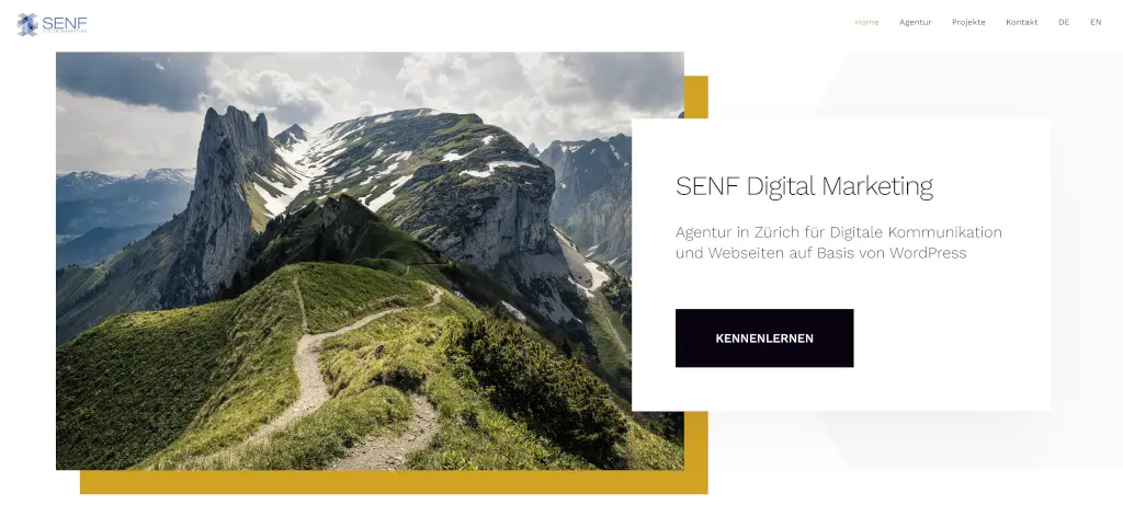 (c) Senf-digital.com